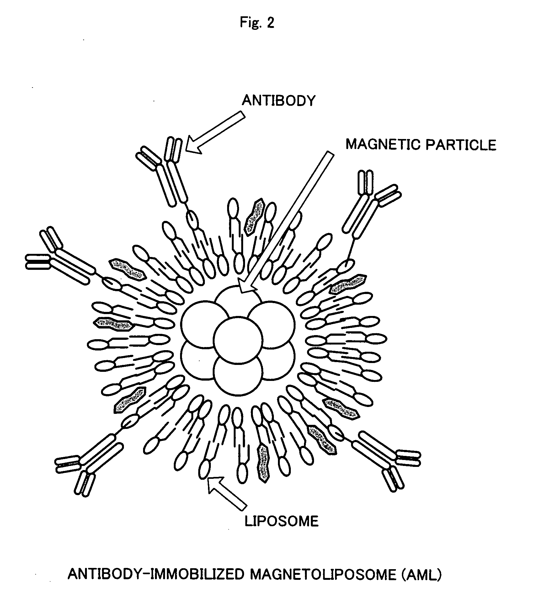 Cell culture method and cell sheet