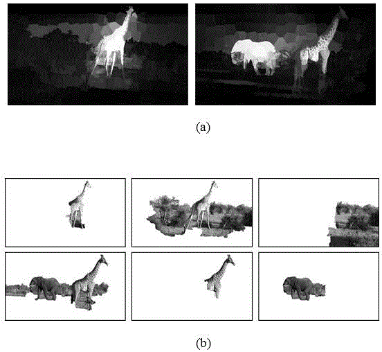 Video object cooperative segmentation method based on track directed graph