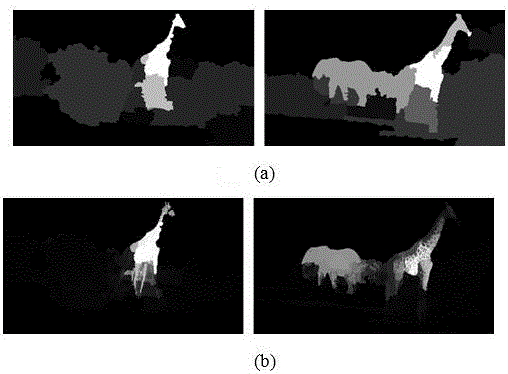 Video object cooperative segmentation method based on track directed graph