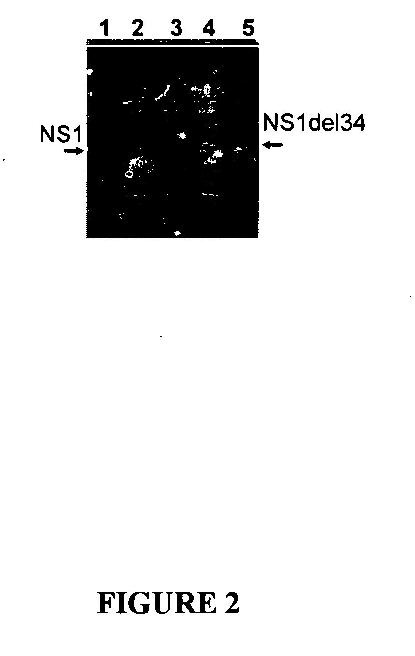 Influenza vaccine compositions and methods of use thereof