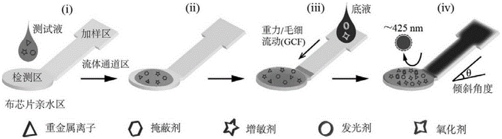 Cloth chip gravity/capillary flow chemiluminescence method