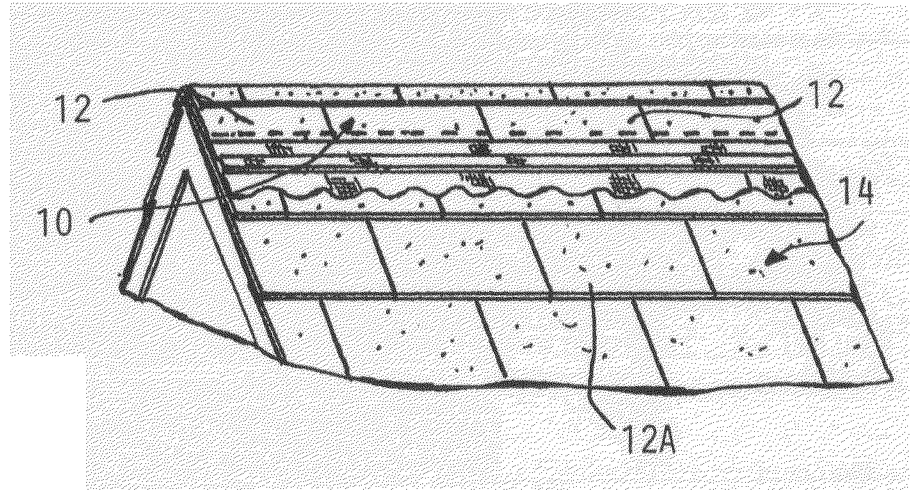Shingle Inserts And Method For Eliminating and Preventing Growth of Algae, Moss, or Lichens on a Roof