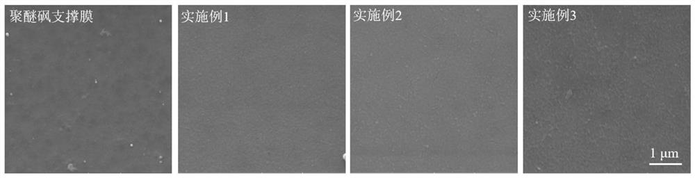 A kind of loose nanofiltration membrane based on branched polyethyleneimine, its preparation and application