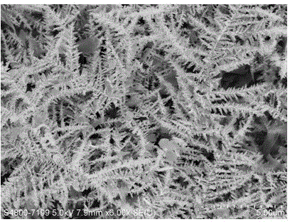 A kind of preparation method of superhydrophobic bismuth coating