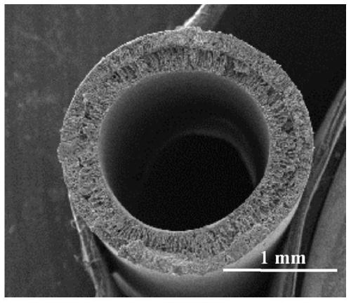 Preparation and water treatment application of super-hydrophobic stainless steel-carbon nanotube composite membrane