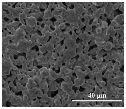 Preparation and water treatment application of super-hydrophobic stainless steel-carbon nanotube composite membrane