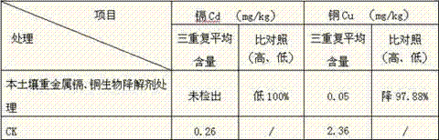 Soil heavy metal cadmium copper biodegradation agent and preparation method thereof