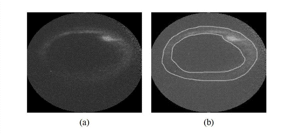 Auroral oval segmenting method based on brightness self-adaptive level set