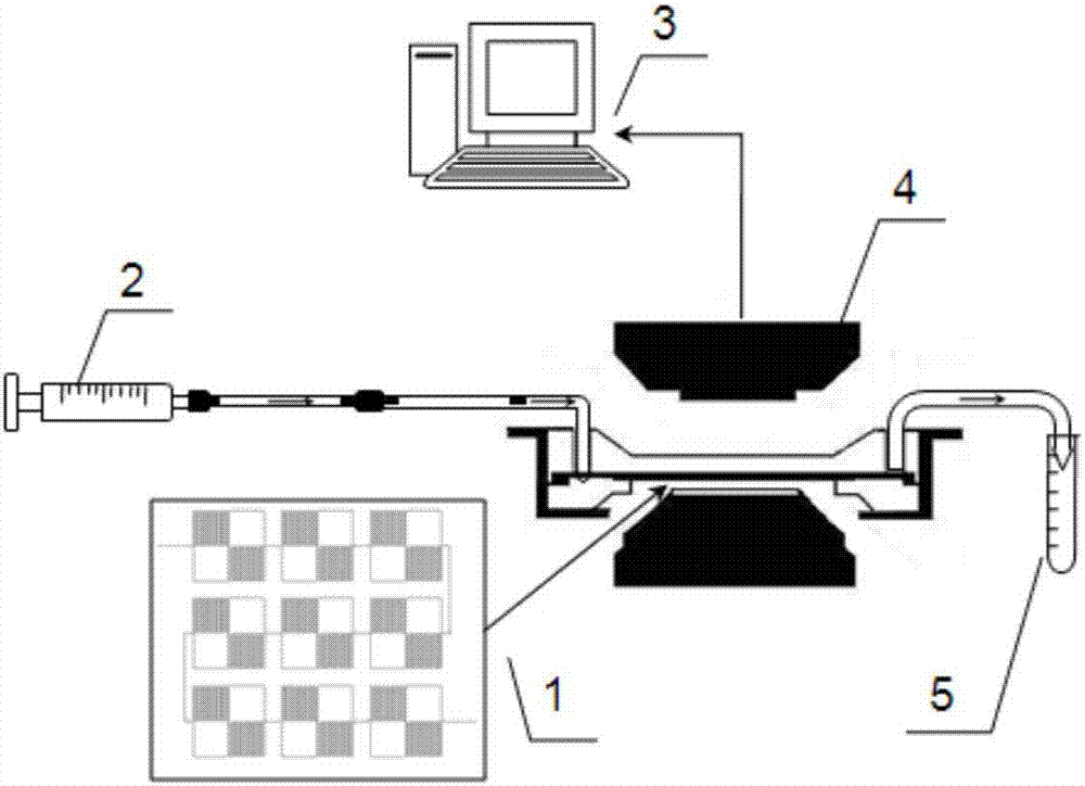 Microfluidic chip realizing high-throughout single-cell micro-tube sucking based on wheatstone bridge