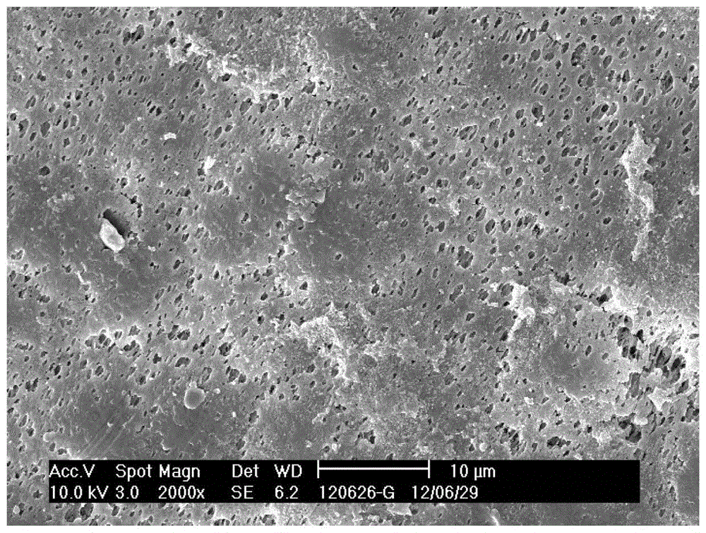 A kind of preparation method and application of polypropylene hollow fiber hydrophobic membrane