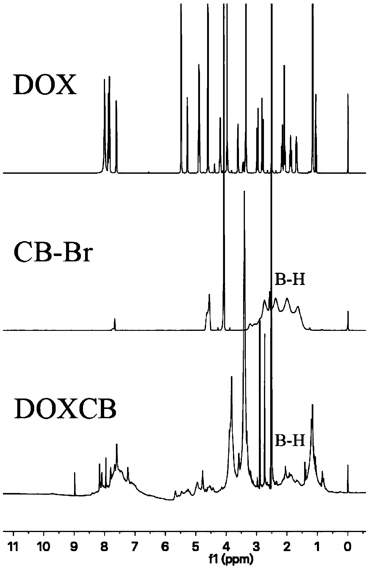 Boron-containing preparation with nuclear targeting as well as preparation method and application thereof