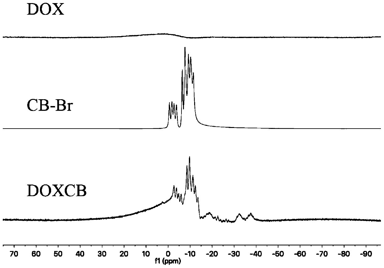 Boron-containing preparation with nuclear targeting as well as preparation method and application thereof