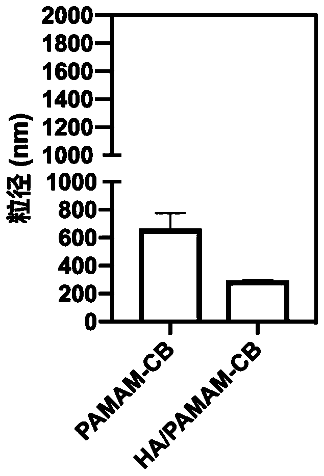 Boron-containing preparation with nuclear targeting as well as preparation method and application thereof