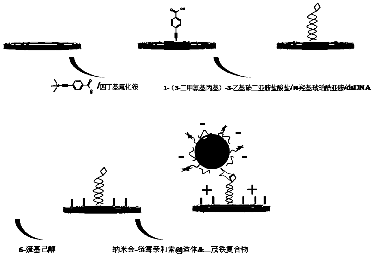 A kind of aptamer sensor based on charge effect and its construction method and application