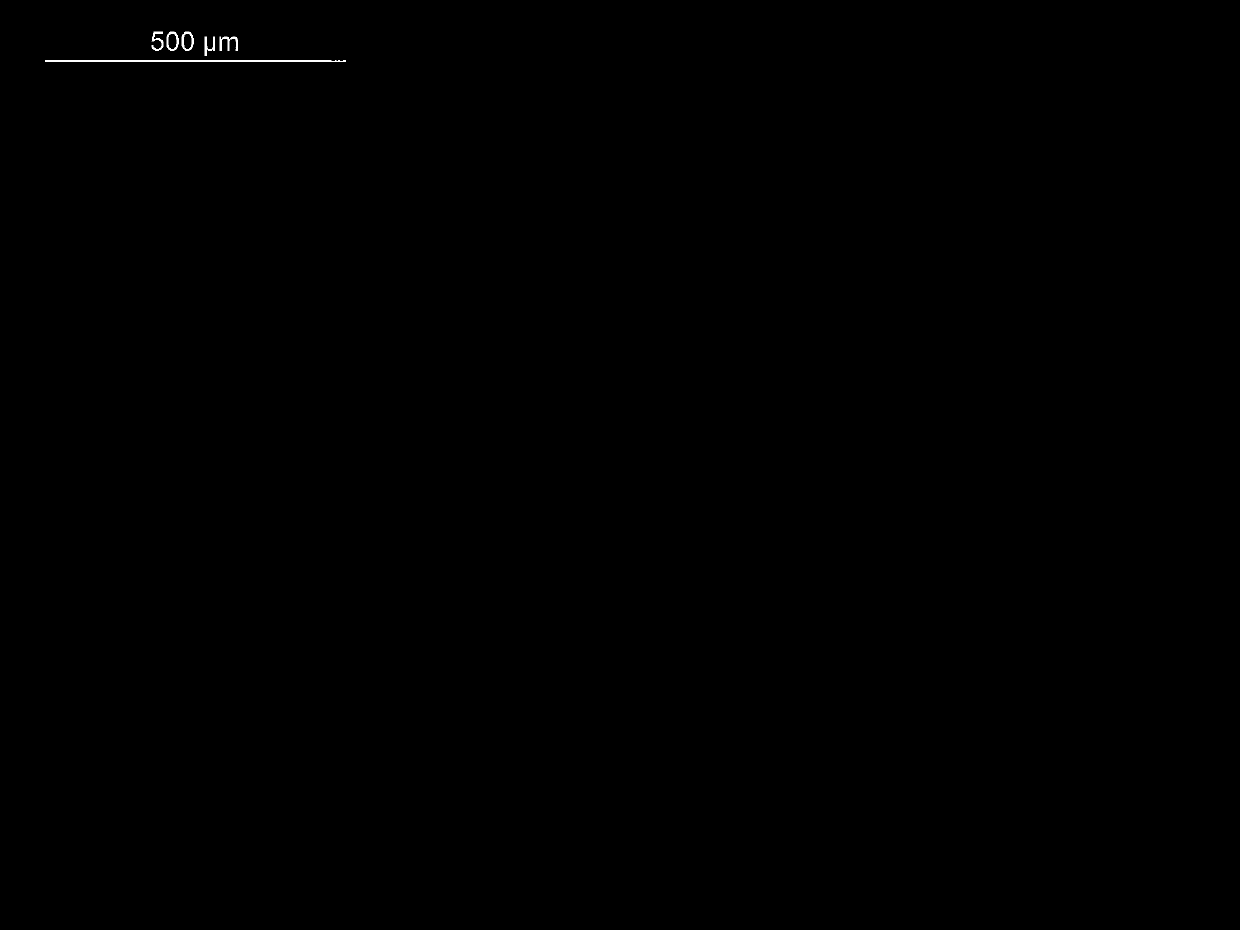 Method for cleaning laser film