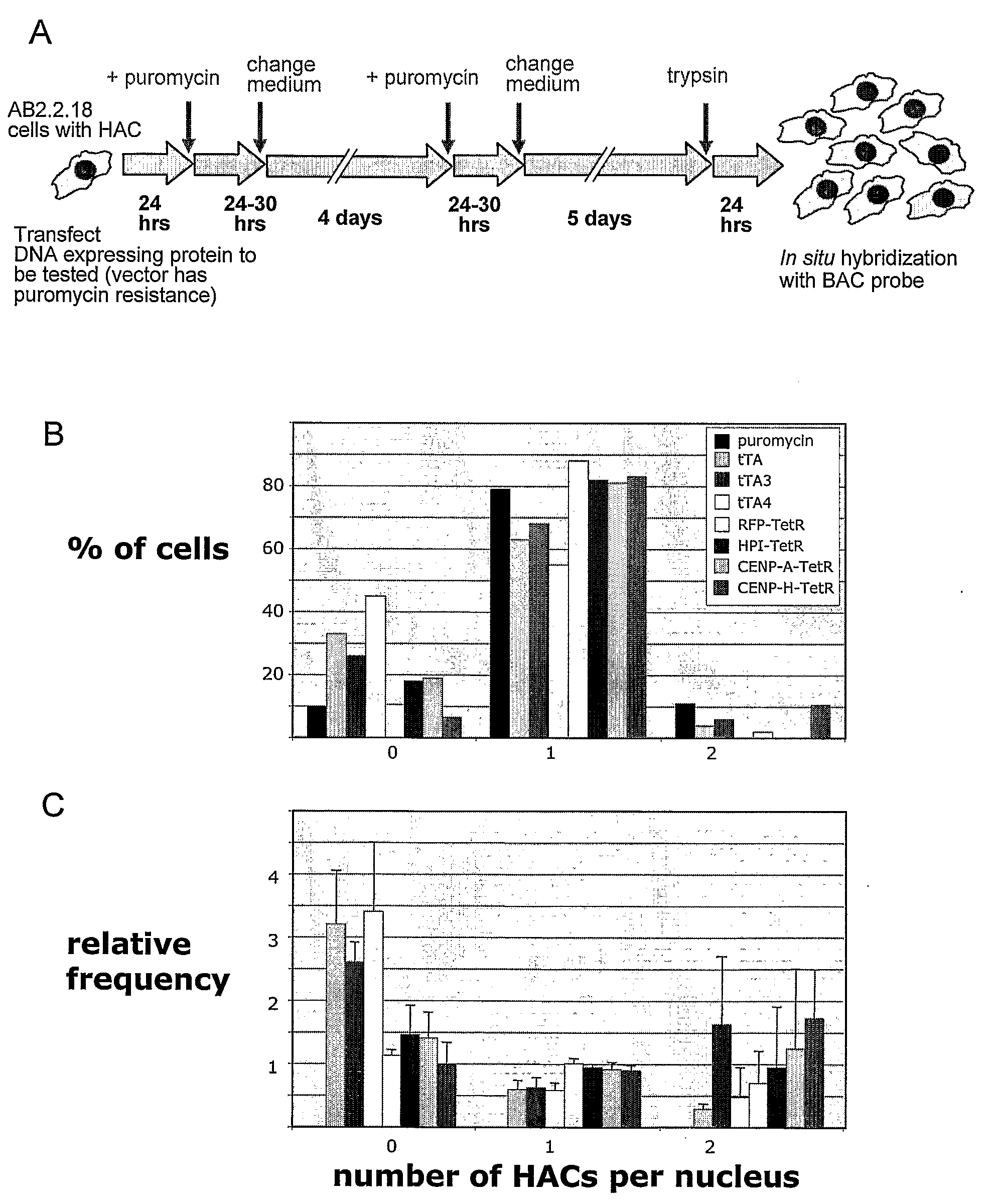 Rapid generation of long synthetic centromeric tandem repeats for mammalian artificial chromosome formation