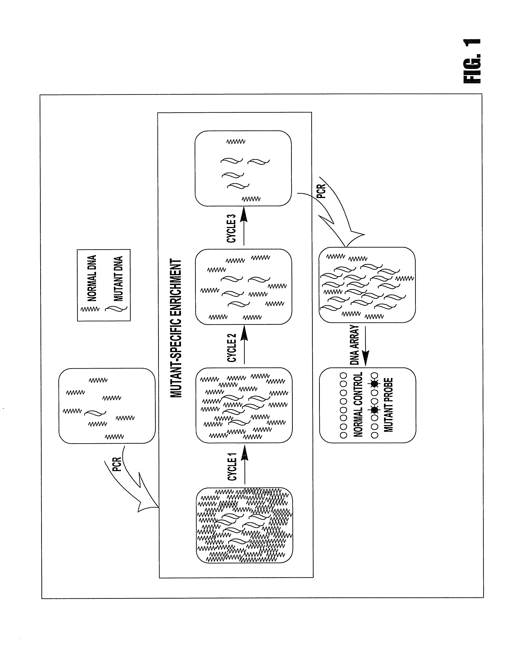 Methods for identifying multiple DNA alteration markers in a large background of wild-type DNA