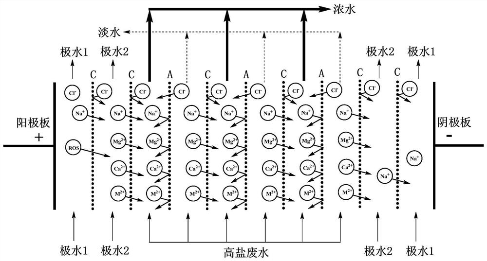 Multi-pole water circulation electrodialysis system and treatment process