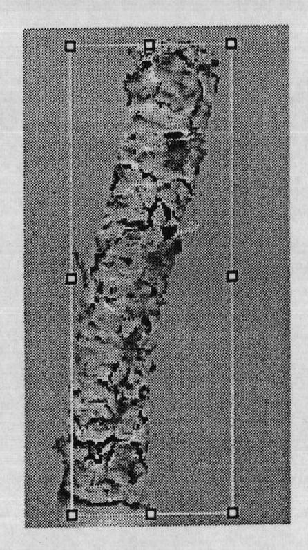 Method for measuring wrapped ash state after burning of cigarette