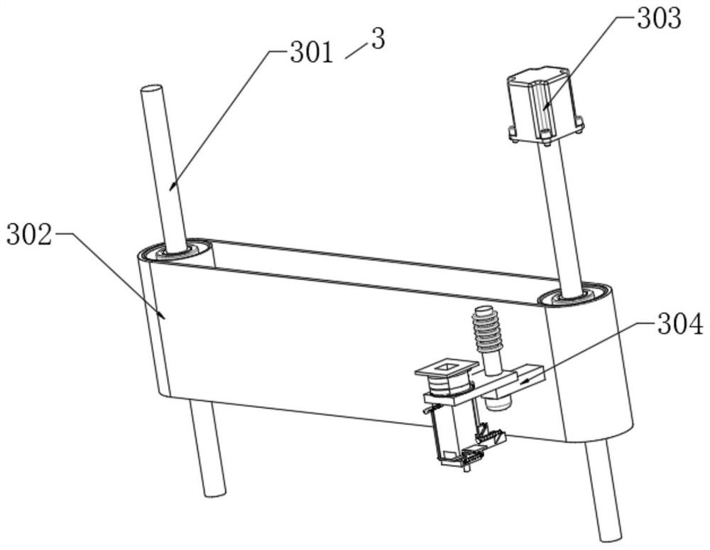 Auxiliary device for detecting aspergillus flavus