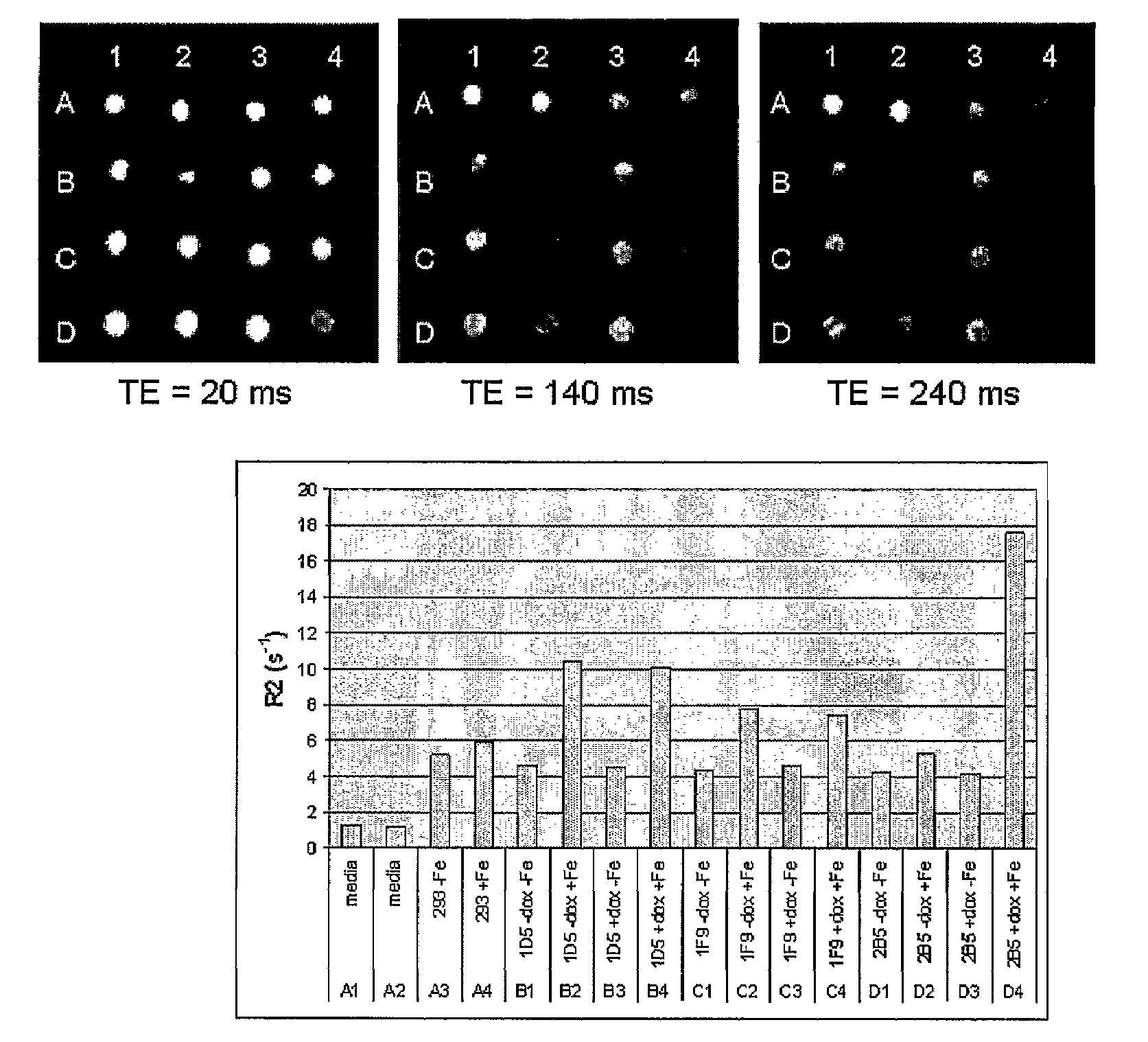 Methods and compositions for the production and use of magnetosomes