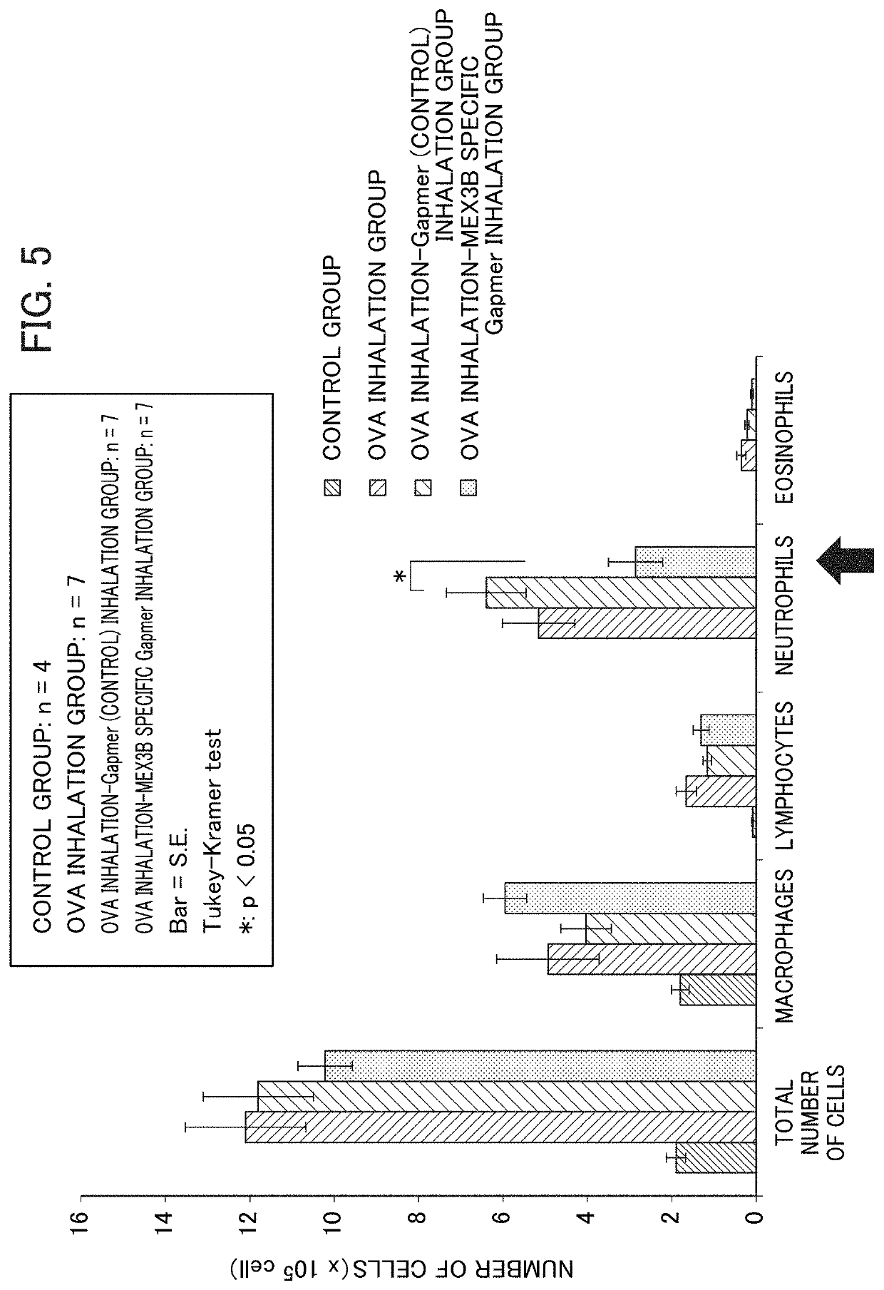 Method for screening prophylactic or therapeutic agents for diseases caused by interleukin 6, interleukin 13, TNF, G-CSF, CXCL1, CXCL2, or CXCL5 and agent for the prevention or treatment of diseases caused by interleukin 6, interleukin 13, TNF, G-CSF, CXCL1, CXCL2, or CXCL5