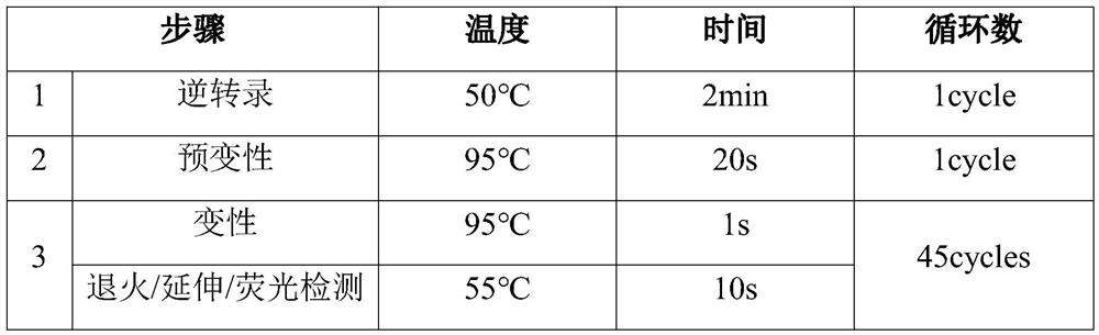 Nucleic acid detection kit for influenza A virus and influenza B virus and use method of nucleic acid detection kit