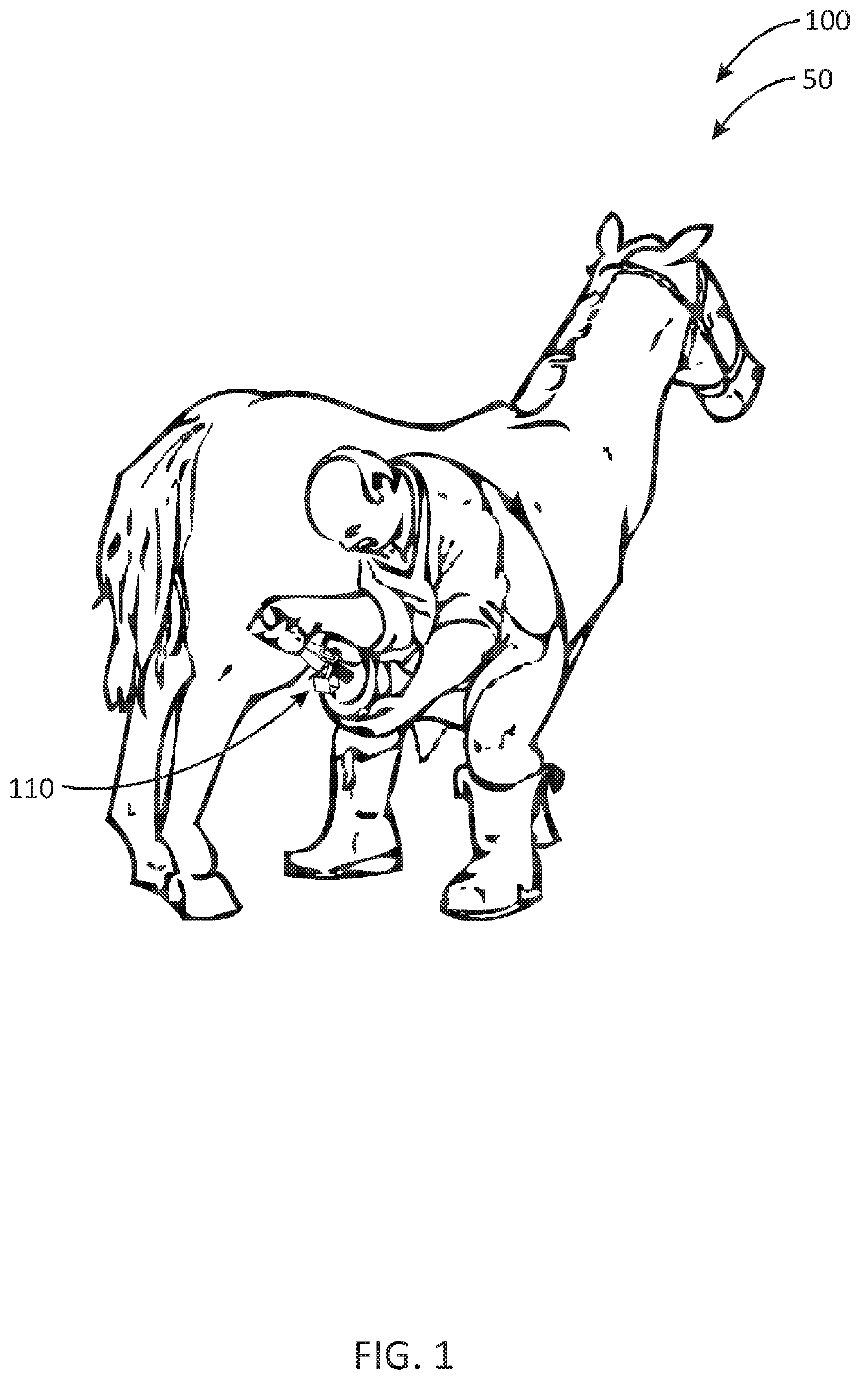Dual hoof pick system and method