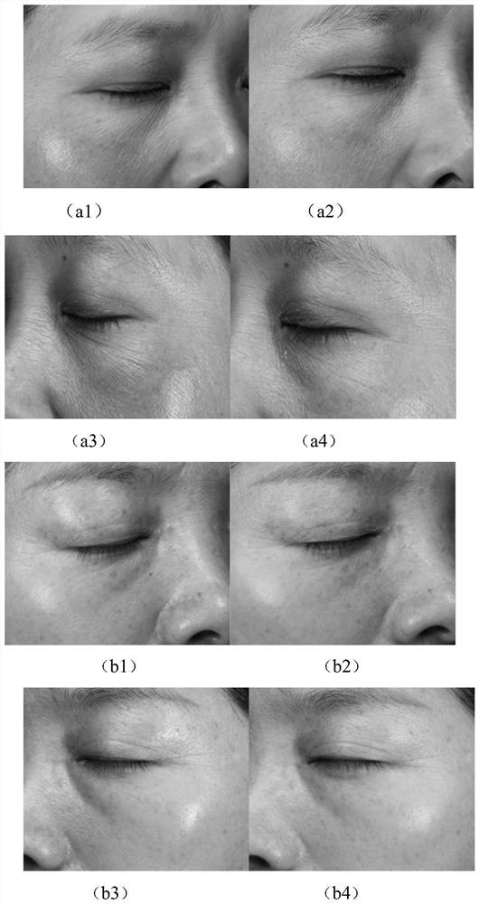 Composition applied to anti-wrinkle firming skincare product for eyes, and anti-wrinkle firming skincare product for eyes and preparation method thereof
