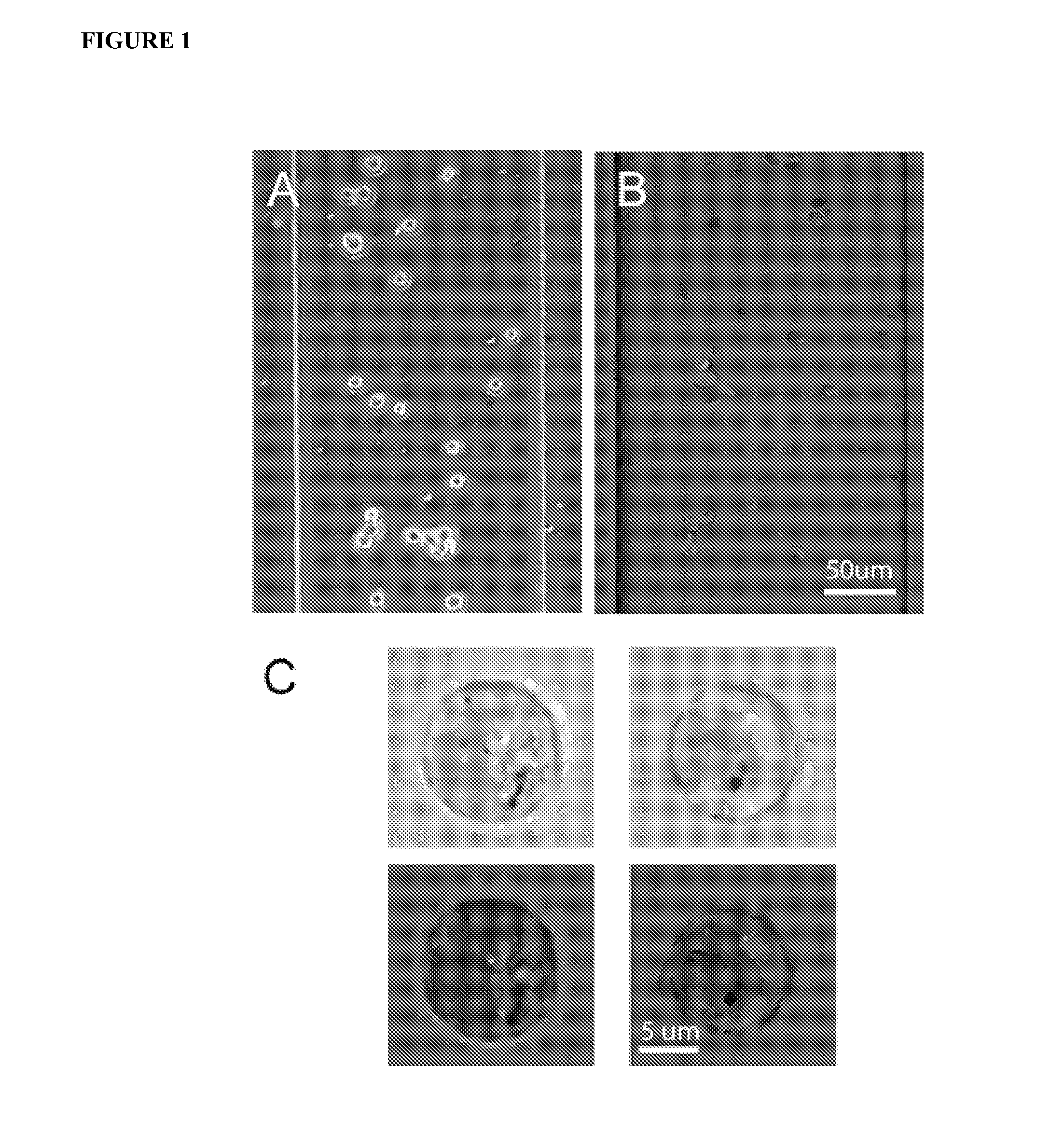 Methods and Apparatus for the Manipulation of Particle Suspensions and Testing Thereof