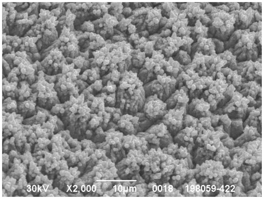 High-stripping-resistance electrolytic copper foil with uniform microscopic surface particles and preparation method of high-stripping-resistance electrolytic copper foil