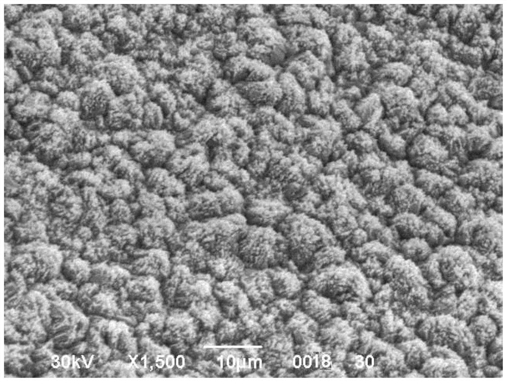 High-stripping-resistance electrolytic copper foil with uniform microscopic surface particles and preparation method of high-stripping-resistance electrolytic copper foil