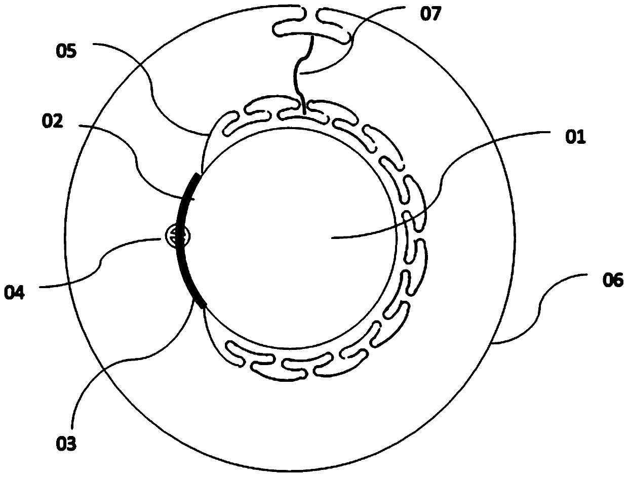 Drug-loading balloon instrument