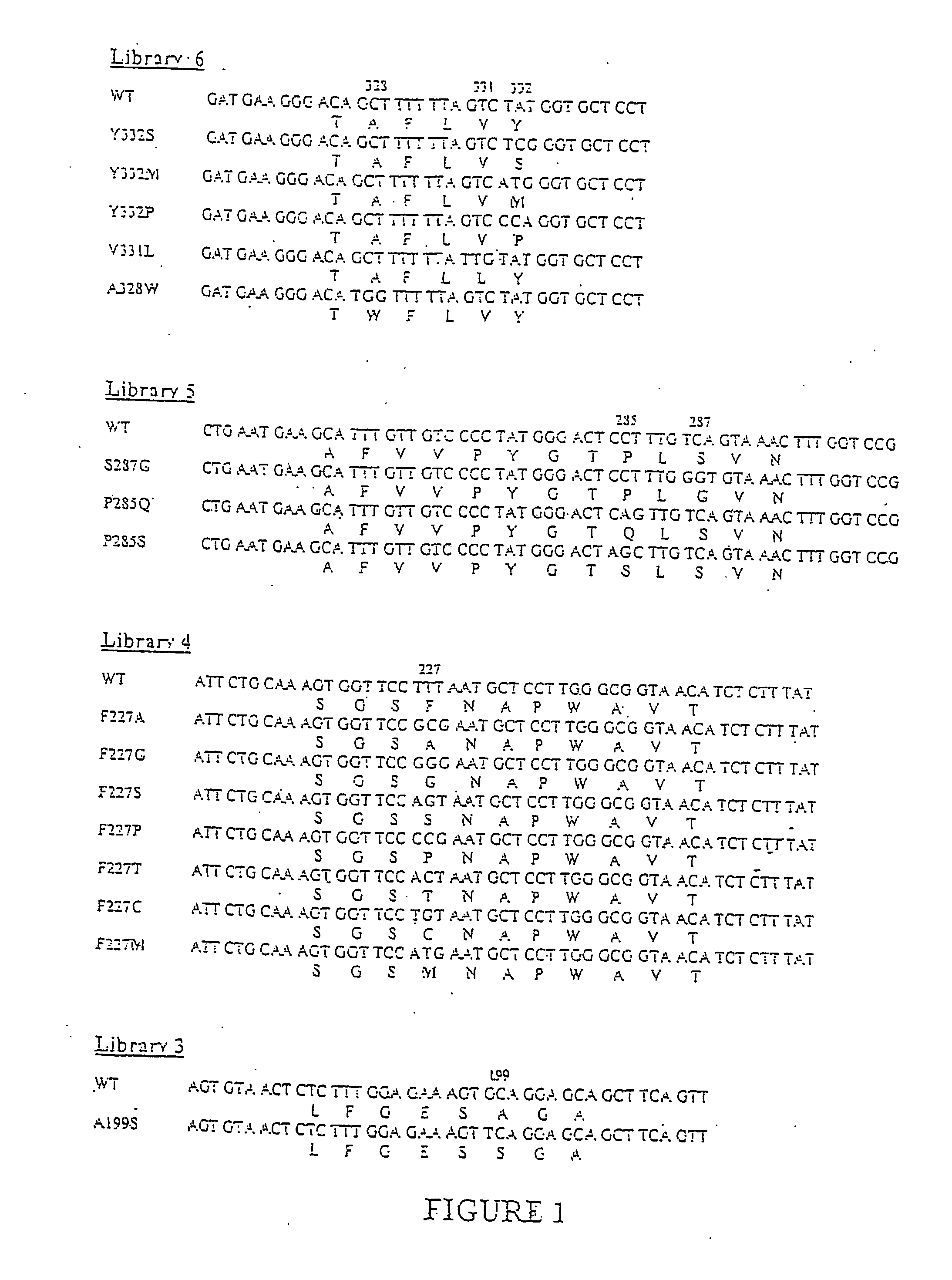 Butyrylcholinesterase variant polypeptides with increased catalytic efficiency and methods of use