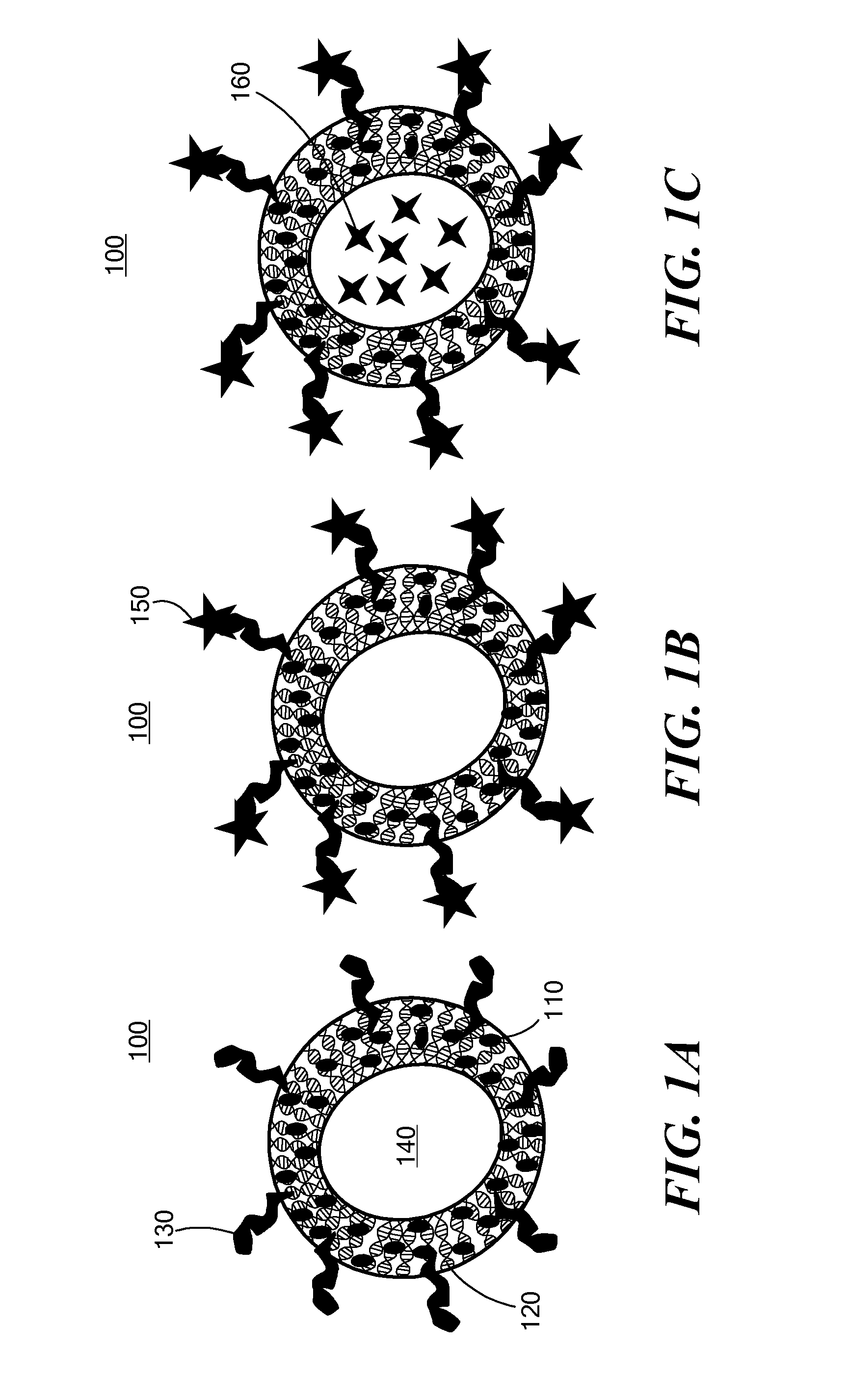 Nanoparticle drug delivery system and method of treating cancer and neurotrauma
