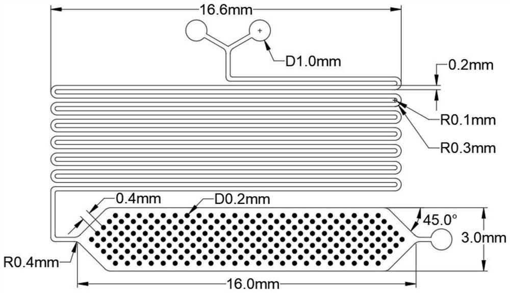 Micro-fluidic chip, detection system based on micro-fluidic chip and detection method of bacteria