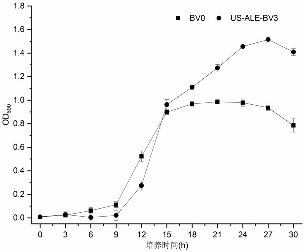 Bacillus velezensis bred by ultrasonic-assisted adaptive evolution and application of bacillus velezensis