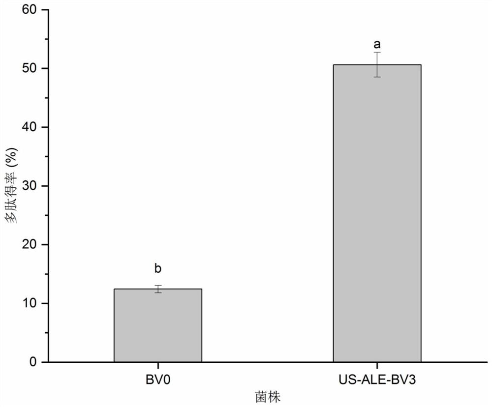 Bacillus velezensis bred by ultrasonic-assisted adaptive evolution and application of bacillus velezensis