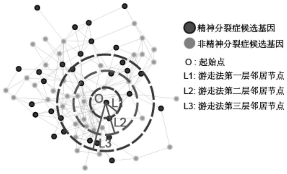 A method for constructing schizophrenia gene-gene interaction network