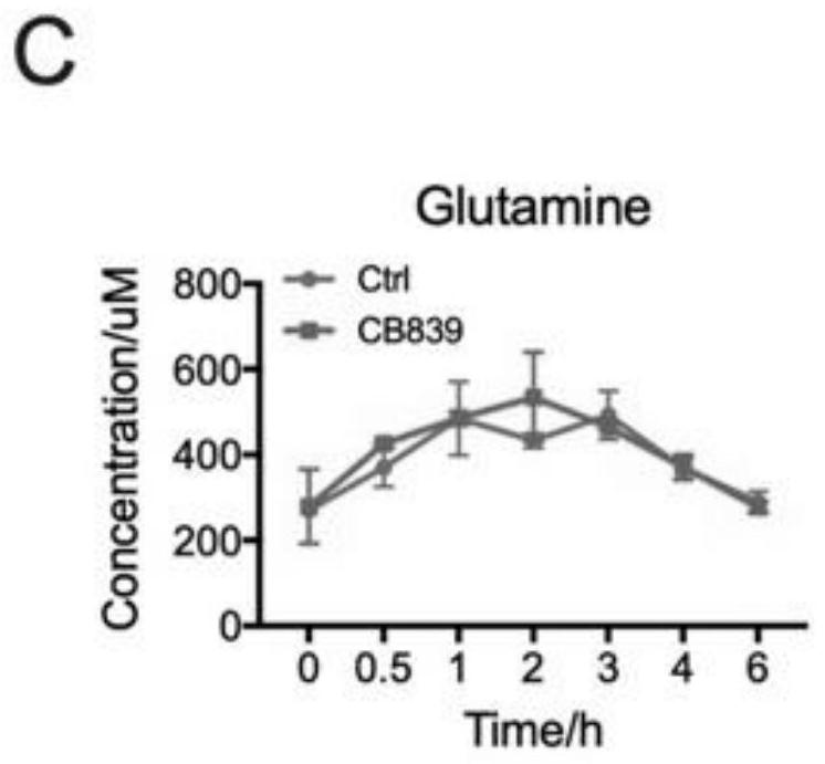 Application of glutaminase inhibitor in preparation of medicine for treating psoriasis