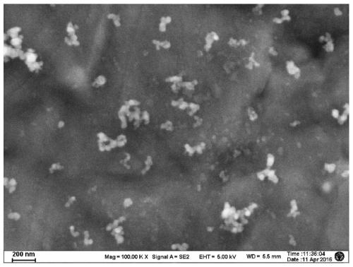 Preparation method and application of water-dispersible carbon nano-onion