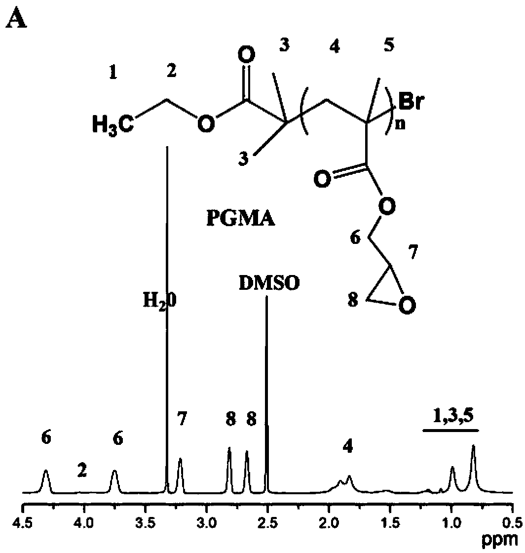 Method for synthesising grafted copolymer by simultaneous chemoenzymatic process and one-pot process