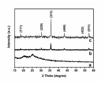 Ferrate/polyaniline magnetic nanometer catalytic agent and preparation method thereof