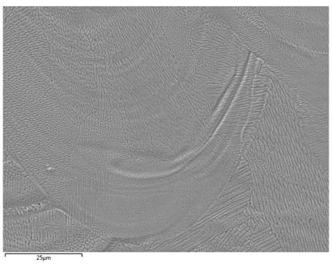 FeCoCrNi series high-entropy alloy selective laser melting in-situ additive manufacturing method and product