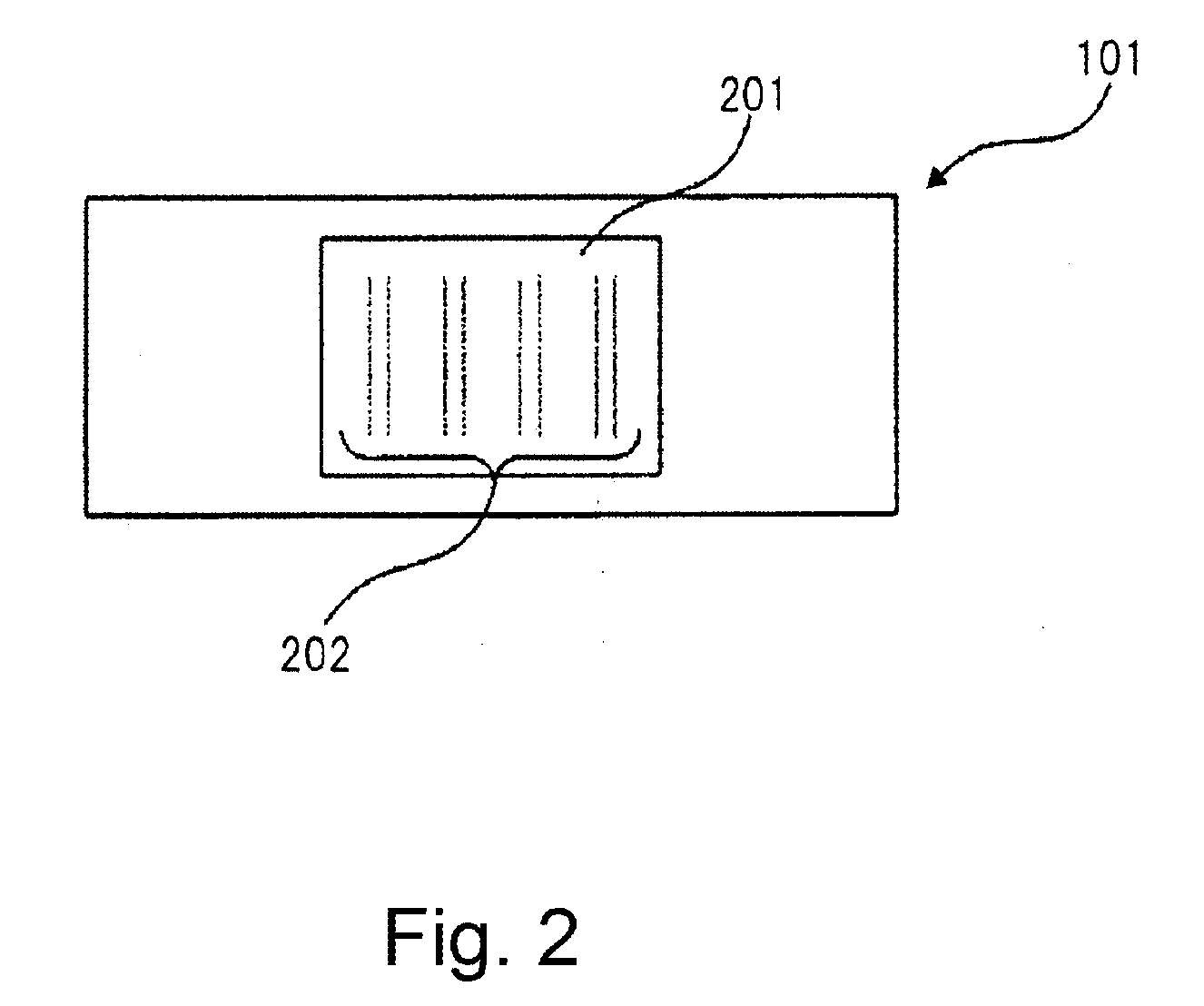 Ink jet apparatus