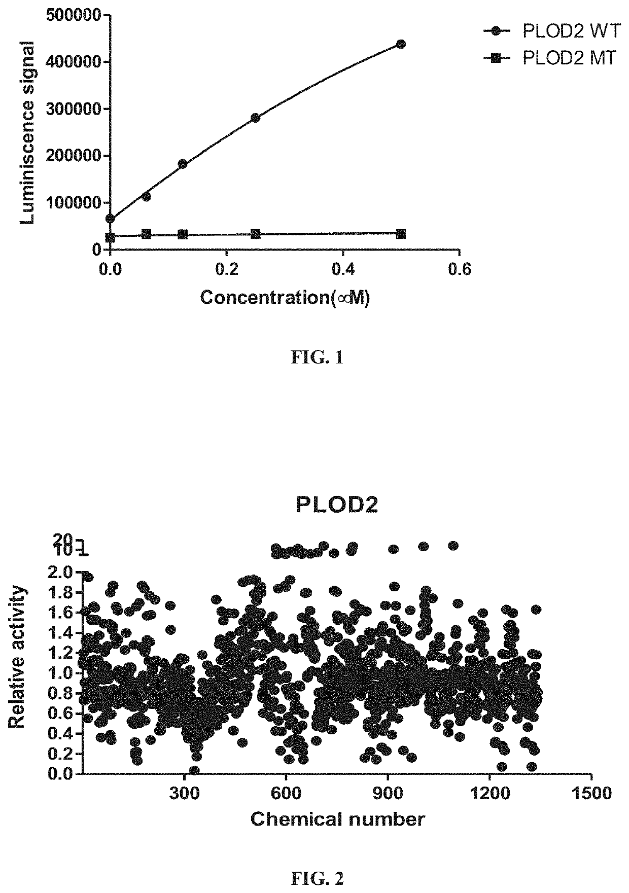 Methods of inhibiting procollagen-lysine, 2-oxoglutarate 5-dioxygenase 2