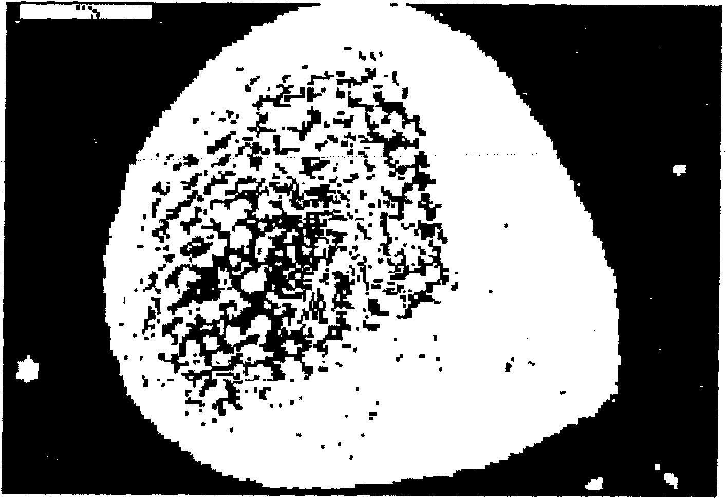 Cosmetic composition for scrubbing