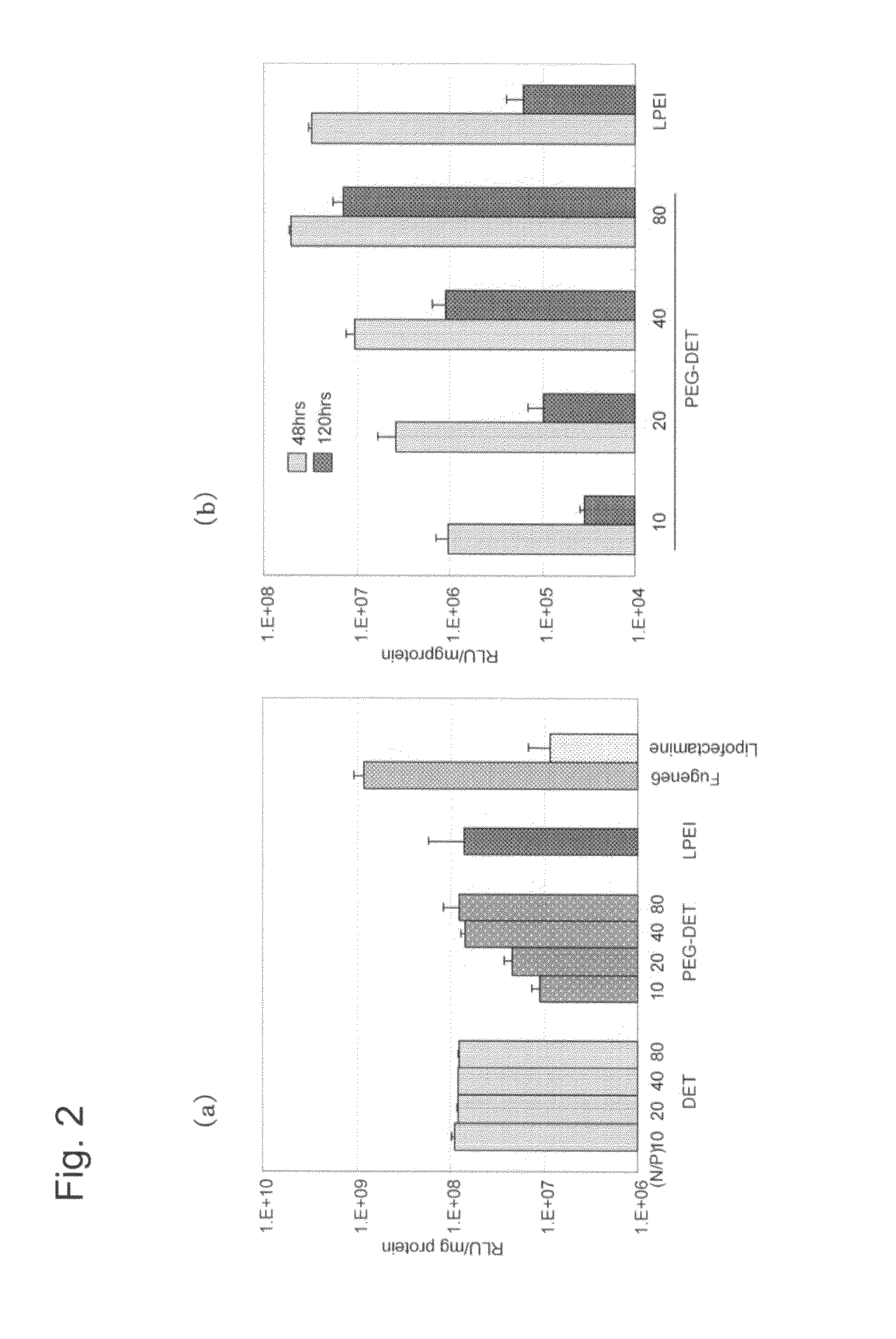 Polycationically charged polymer and the use of the same as a carrier for nucleic acid