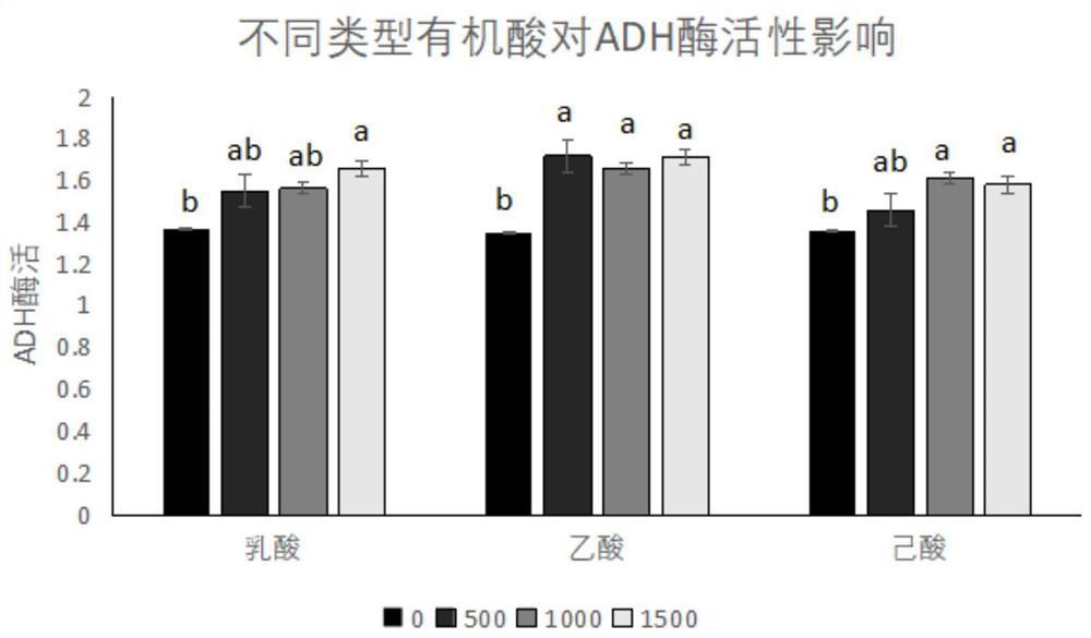Method for quickly evaluating influence degree of organic acid level for alcohol metabolism of Maotai-flavour liquor