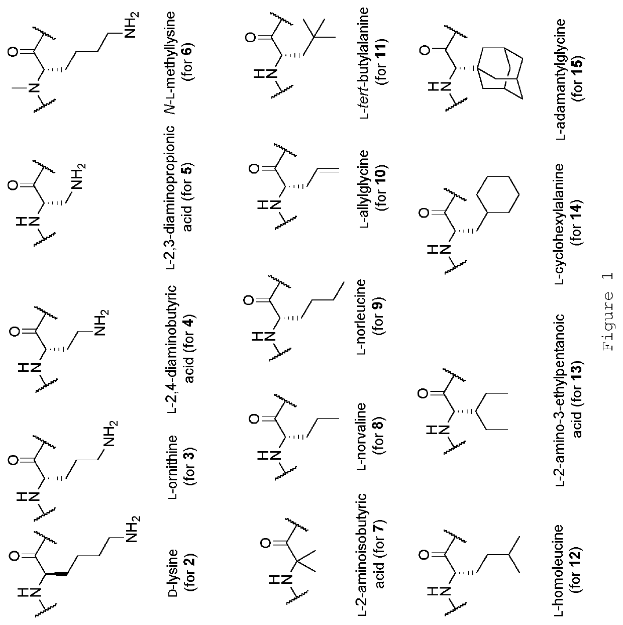 Tumour-targeting peptide variants